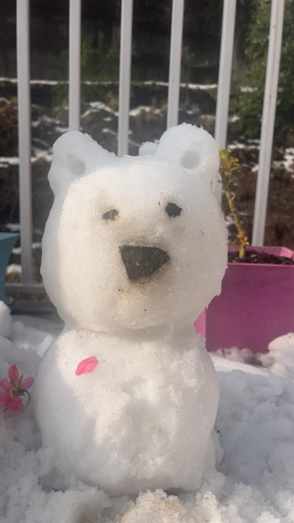Balcony Snowman Bear