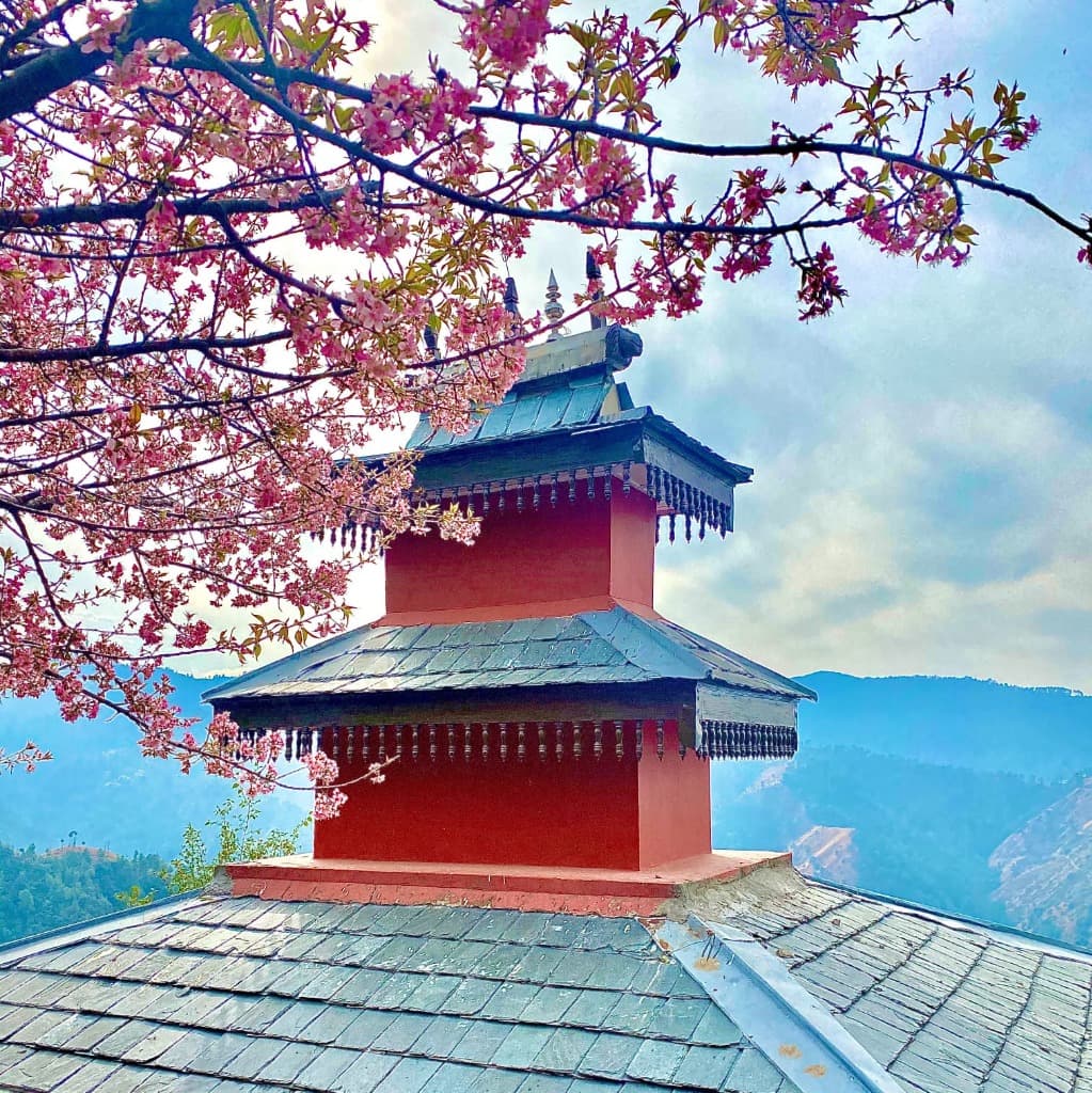 Kinnaur Valley Tour Packages from Shimla scenic destination photo 4