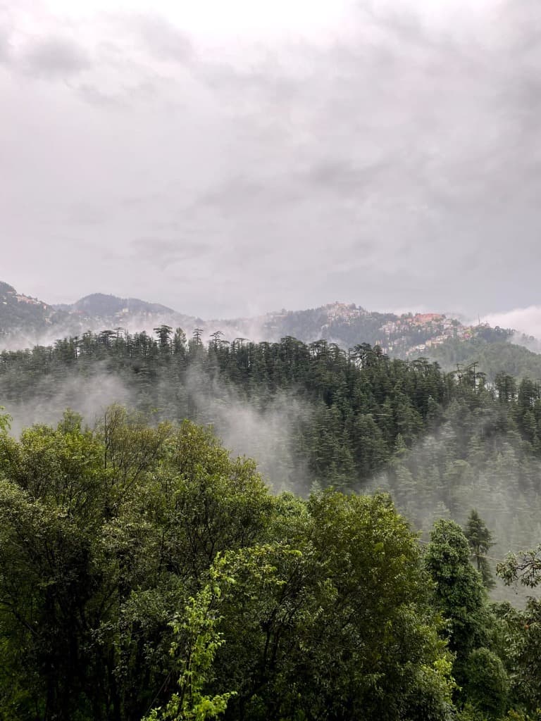 Misty Pine Ridge & Mountain Clouds