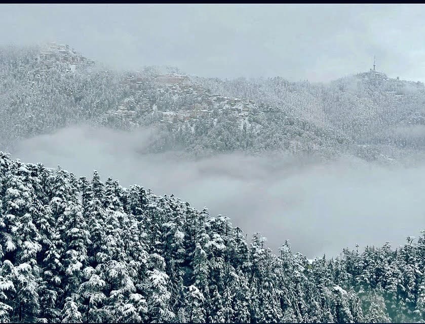 Panoramic Snow Ridge & Pine Valley