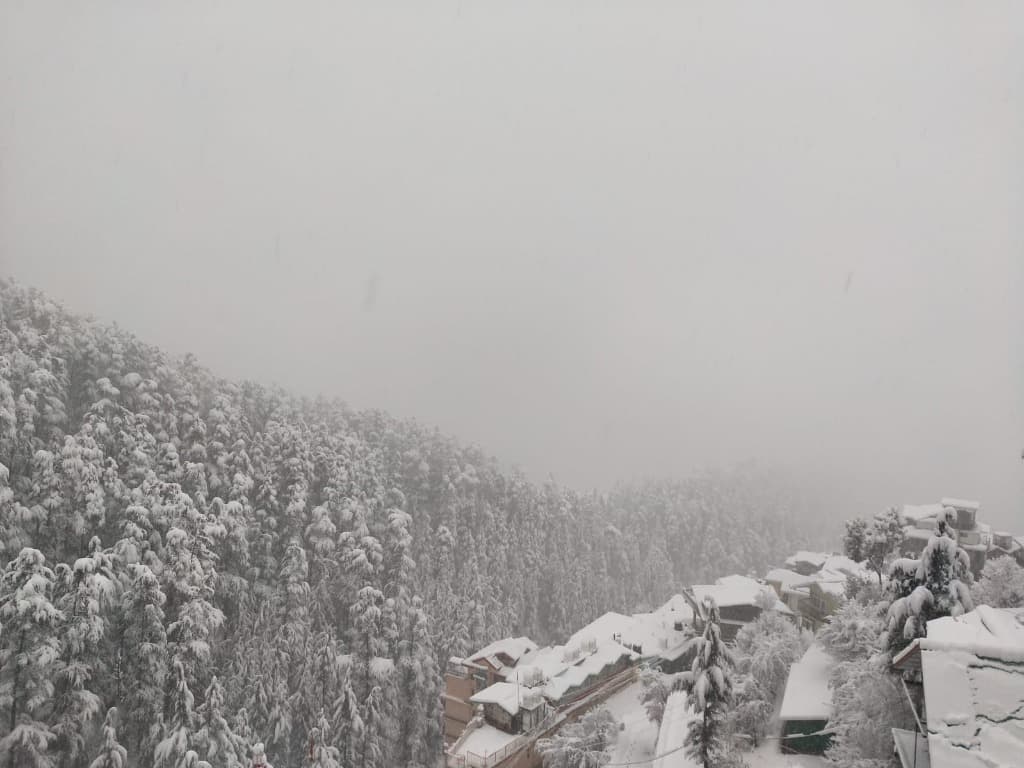 Winter Snowfall Over Pine Slopes